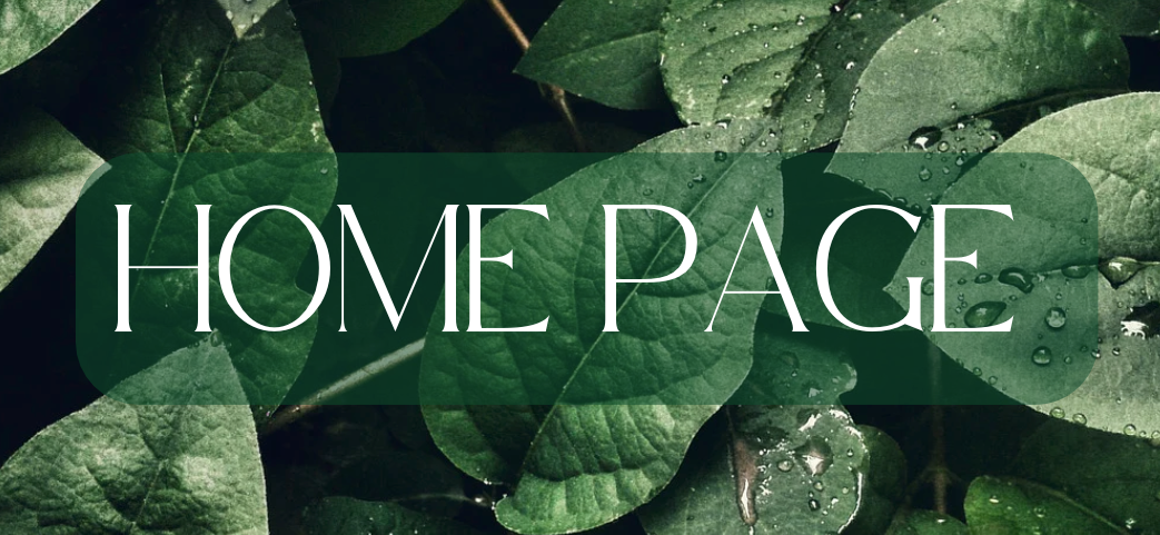 Home page