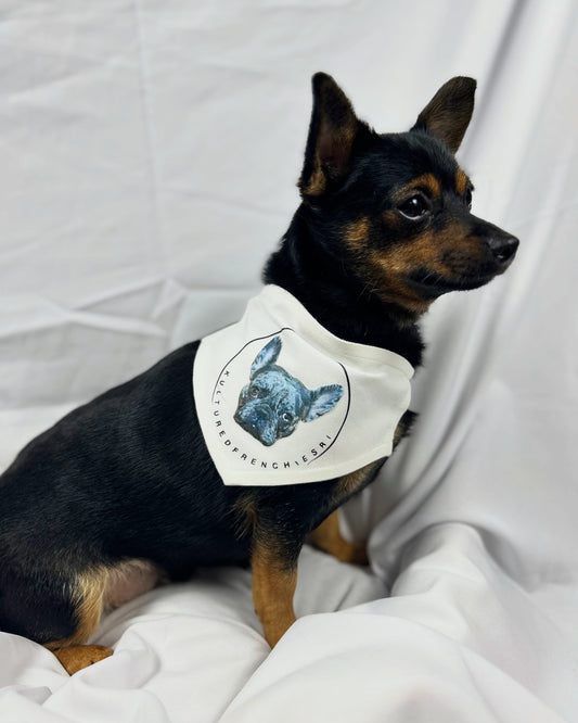 Custom Dog Bandana Collar